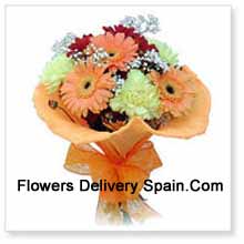 11 Assorted Cute Gerberas