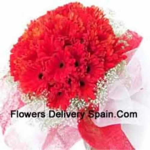 A Beautiful Bunch Of 37 Red Gerberas With Seasonal Fillers