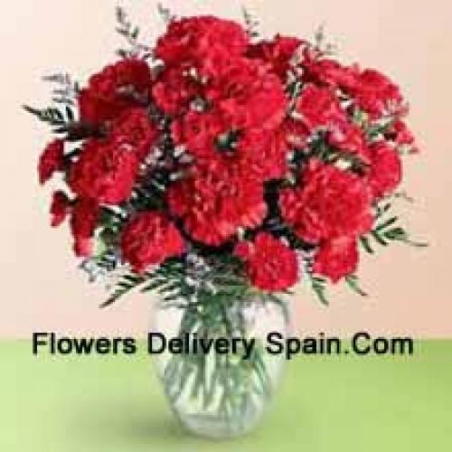 37 Red Cute Carnations