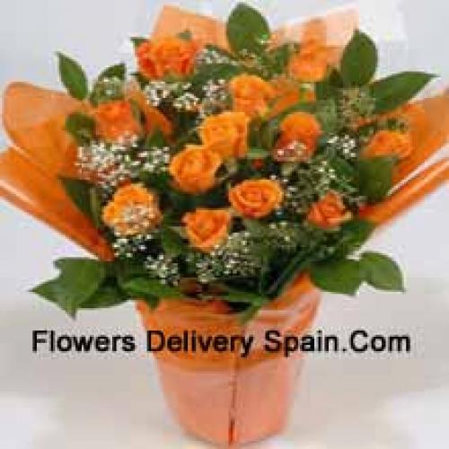 19 Cute Orange Roses