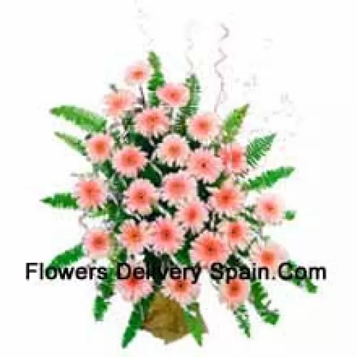 Basket Of 25 Pink Colored Gerberas