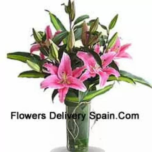 Pink Colored Lilies In A Vase