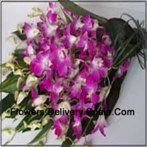 Bunch Of Orchids With Seasonal Fillers