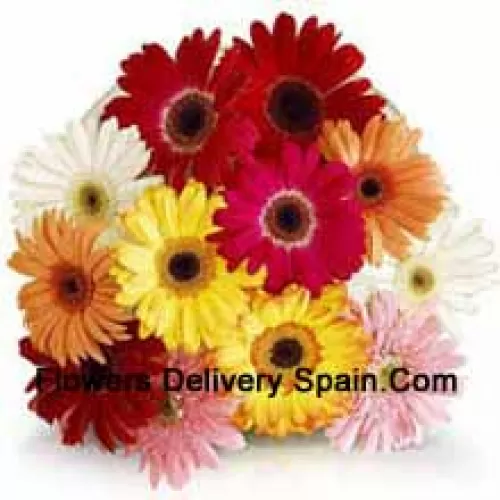 Bunch Of 11 Assorted Colored Gerberas