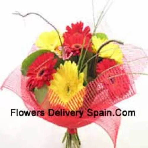 Buchet de 11 gerberas colorate mixte