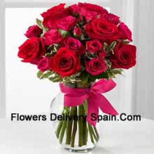 19 Cute Red Roses with Pink Bow